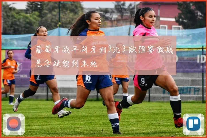 葡萄牙战平匈牙利3比3 欧预赛激战悬念延续到末轮