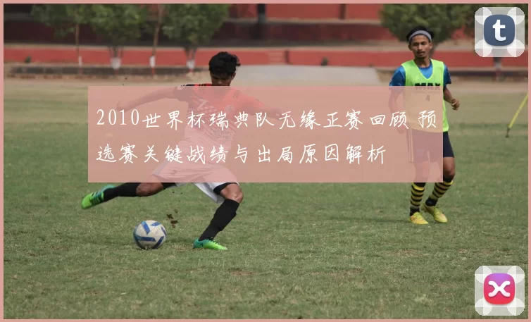 2010世界杯瑞典队无缘正赛回顾 预选赛关键战绩与出局原因解析