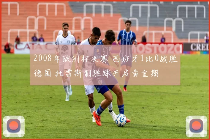 2008年欧洲杯决赛 西班牙1比0战胜德国 托雷斯制胜球开启黄金期