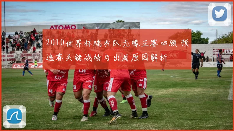 2010世界杯瑞典队无缘正赛回顾 预选赛关键战绩与出局原因解析