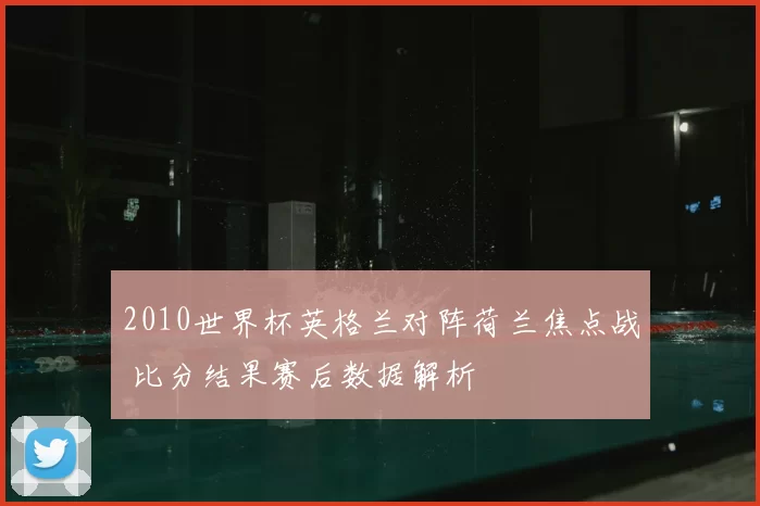 2010世界杯英格兰对阵荷兰焦点战 比分结果赛后数据解析